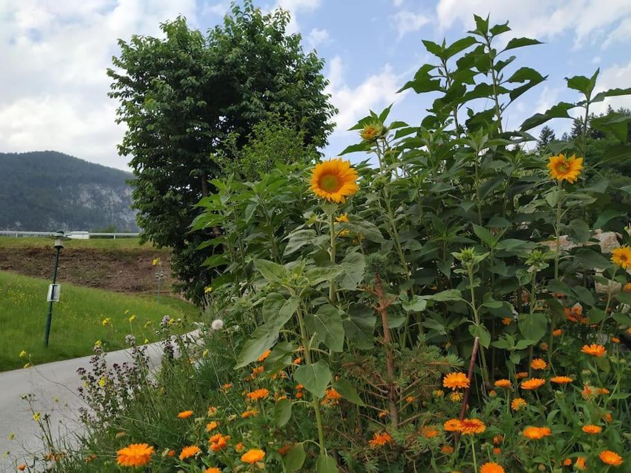 Upcycling Appartement Fischl - Nachhaltig Und Kreativ Wohnen Fuer Gross Und Klein Jenbach Luaran gambar